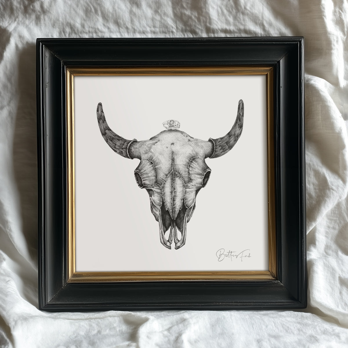 Bison & Prairie Dog Skulls | Limited Edition