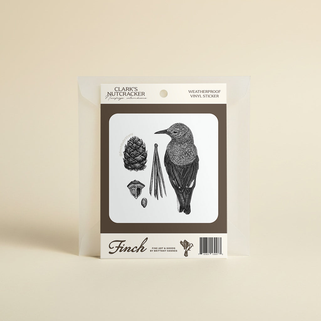 Wildlife Stickers Cards