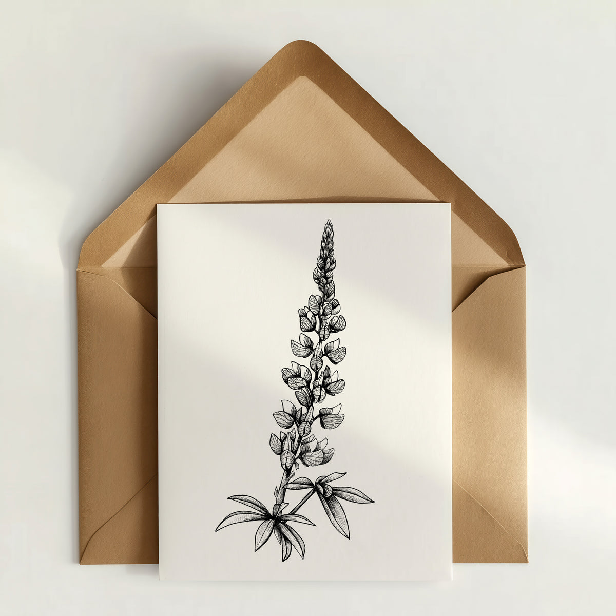 Lupine Greeting Card
