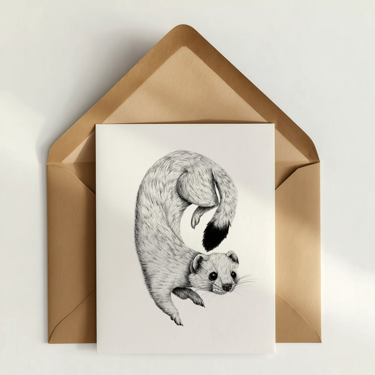 Winter Ermine Greeting Card