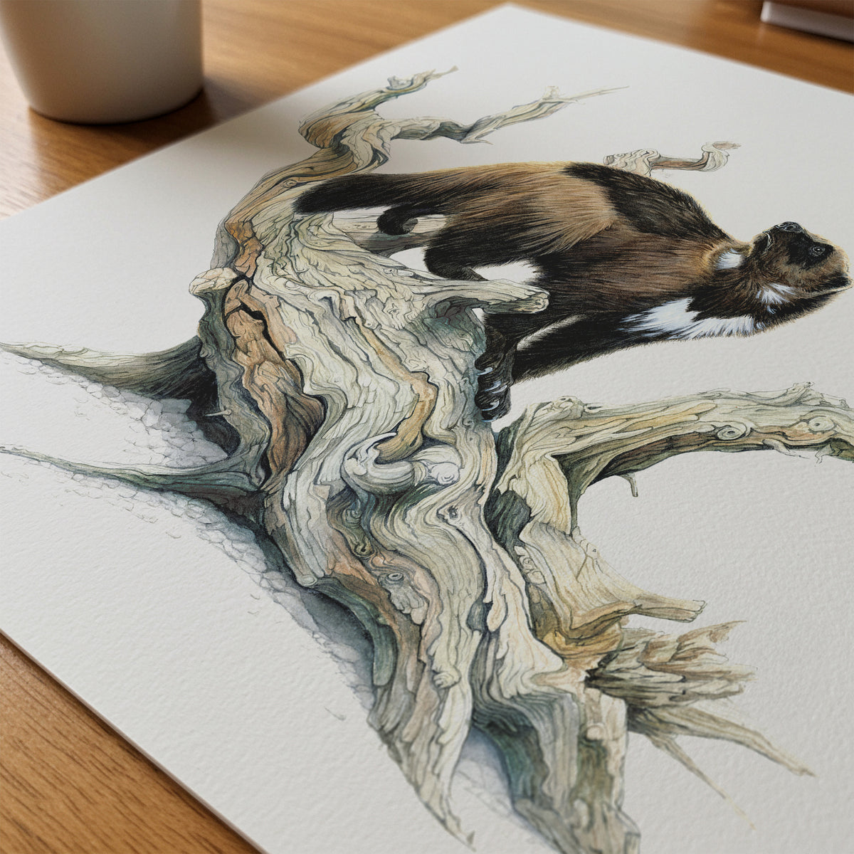 Wolverine Print | Limited Edition
