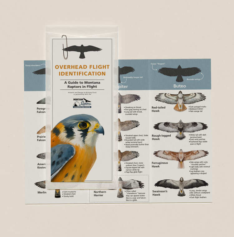 trifold file guide | overhead flight identification