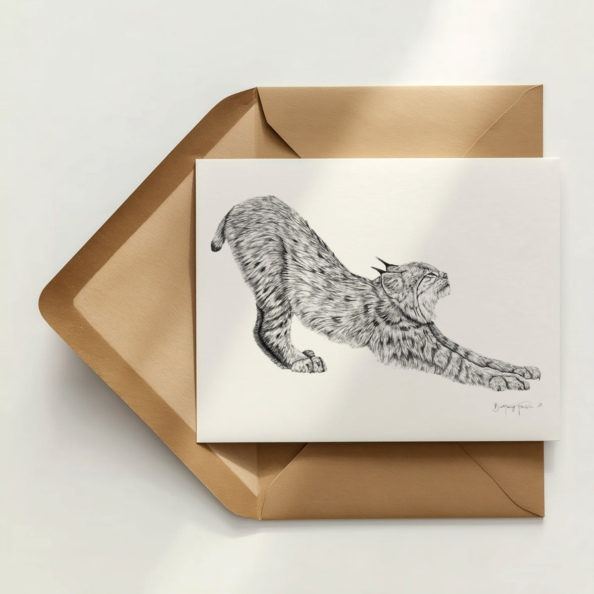 Big Stretch Greeting Card
