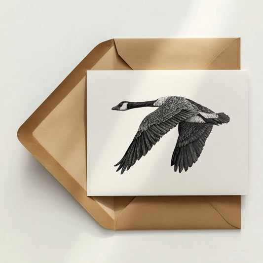 Canada Goose Greeting Card