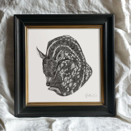 Fawn | Limited Edition