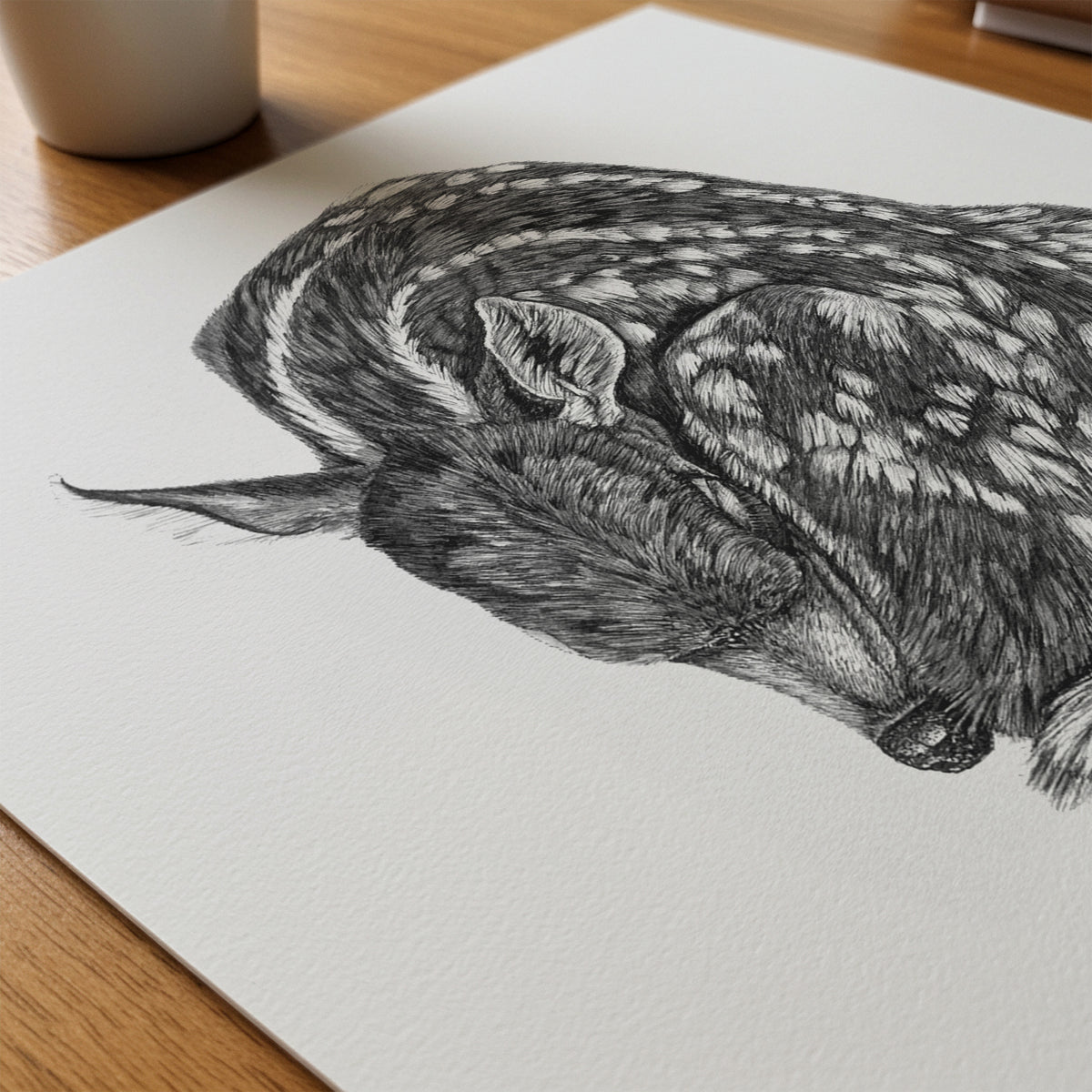 Fawn | Limited Edition