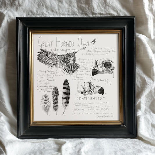 Great Horned Owl Journal Entry