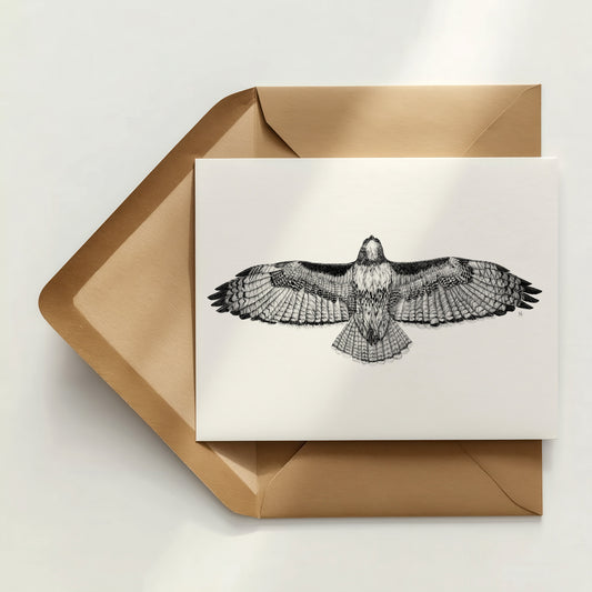 Red-tailed Hawk Greeting Card