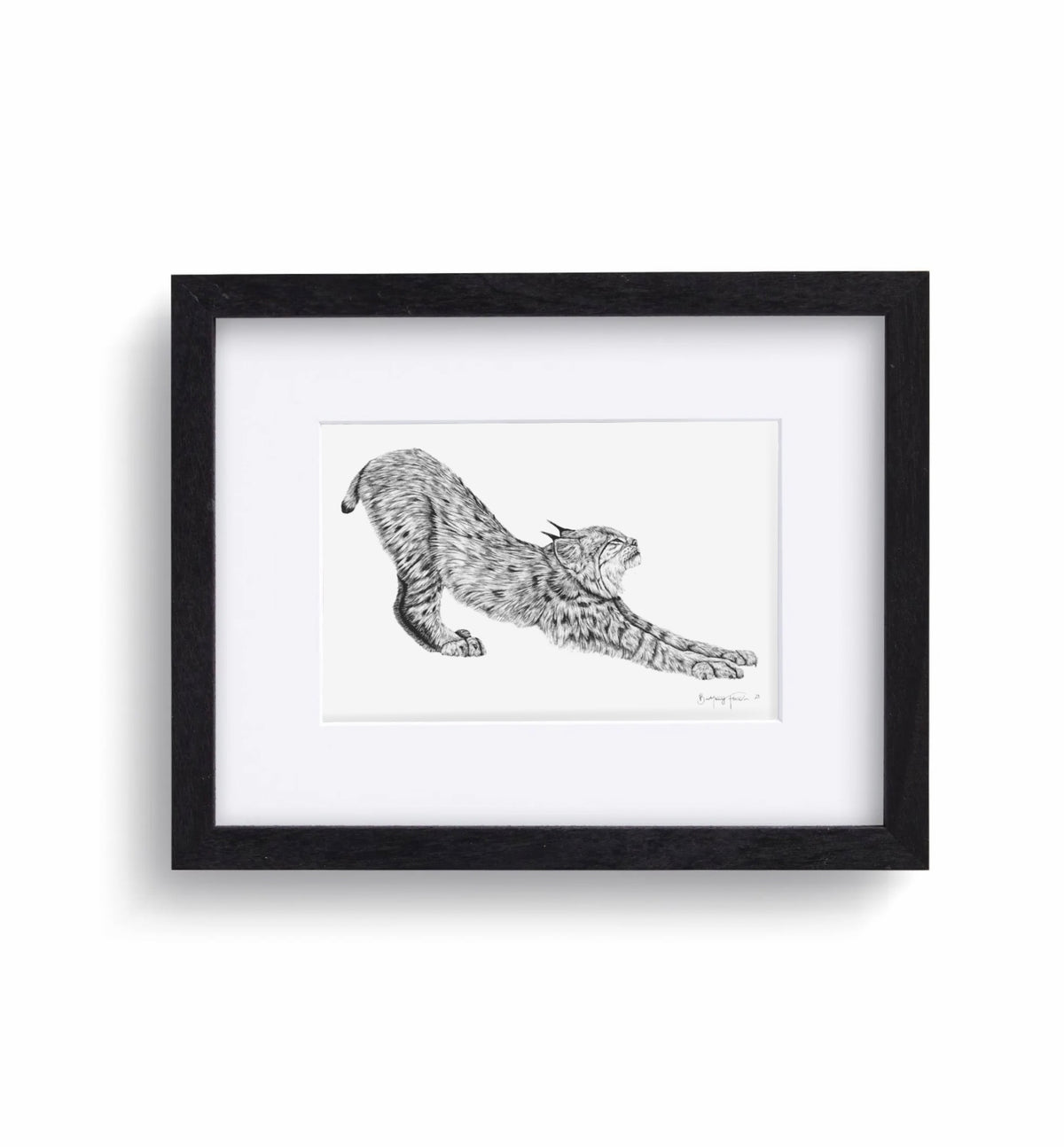 Big Stretch | Limited Edition