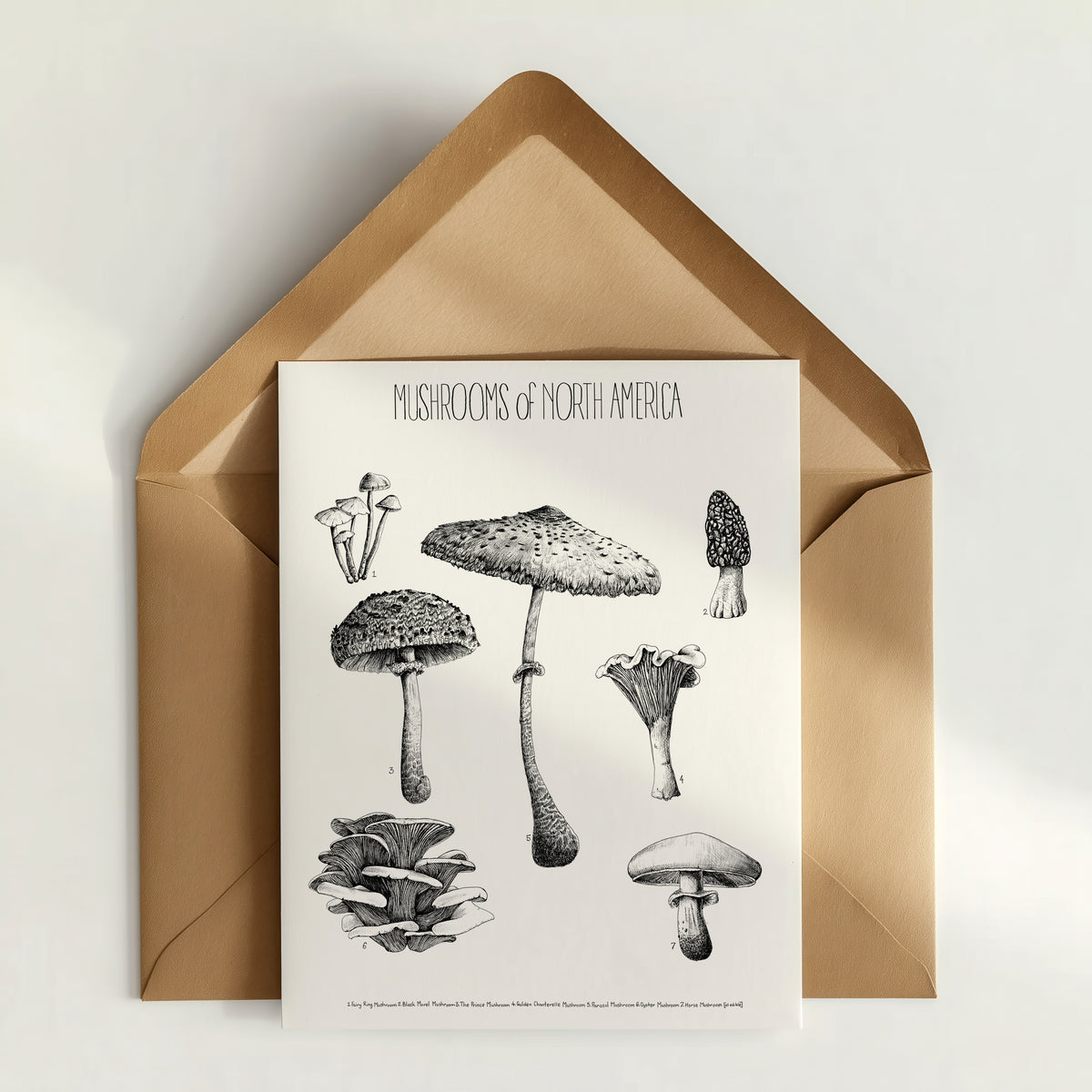 Flora Science Poster Greeting Cards