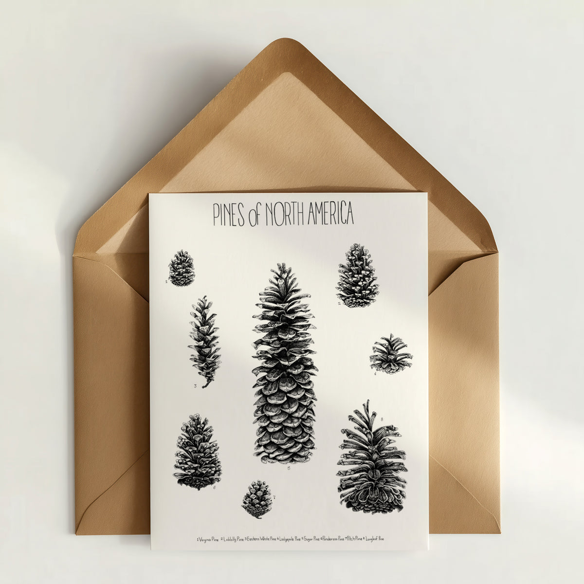 Flora Science Poster Greeting Cards