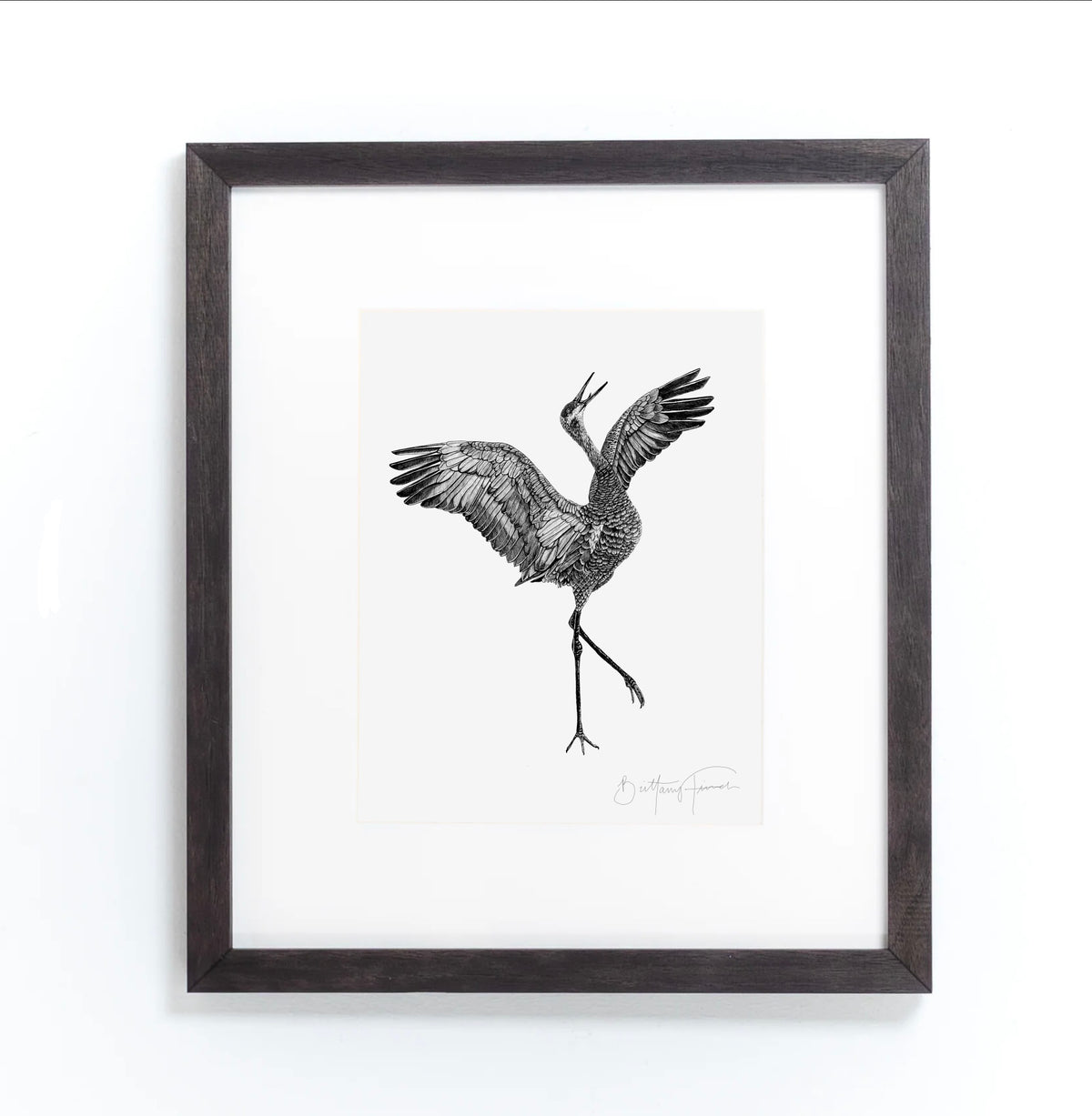 Sandhill Crane Print