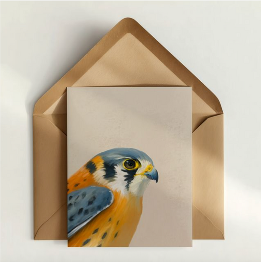 American Kestrel Greeting Card