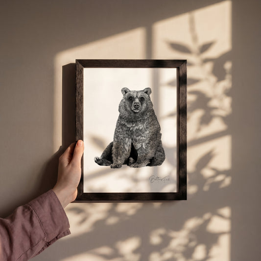 Sitting Bear Print