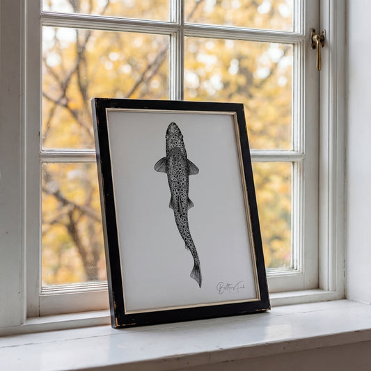 Brown Trout