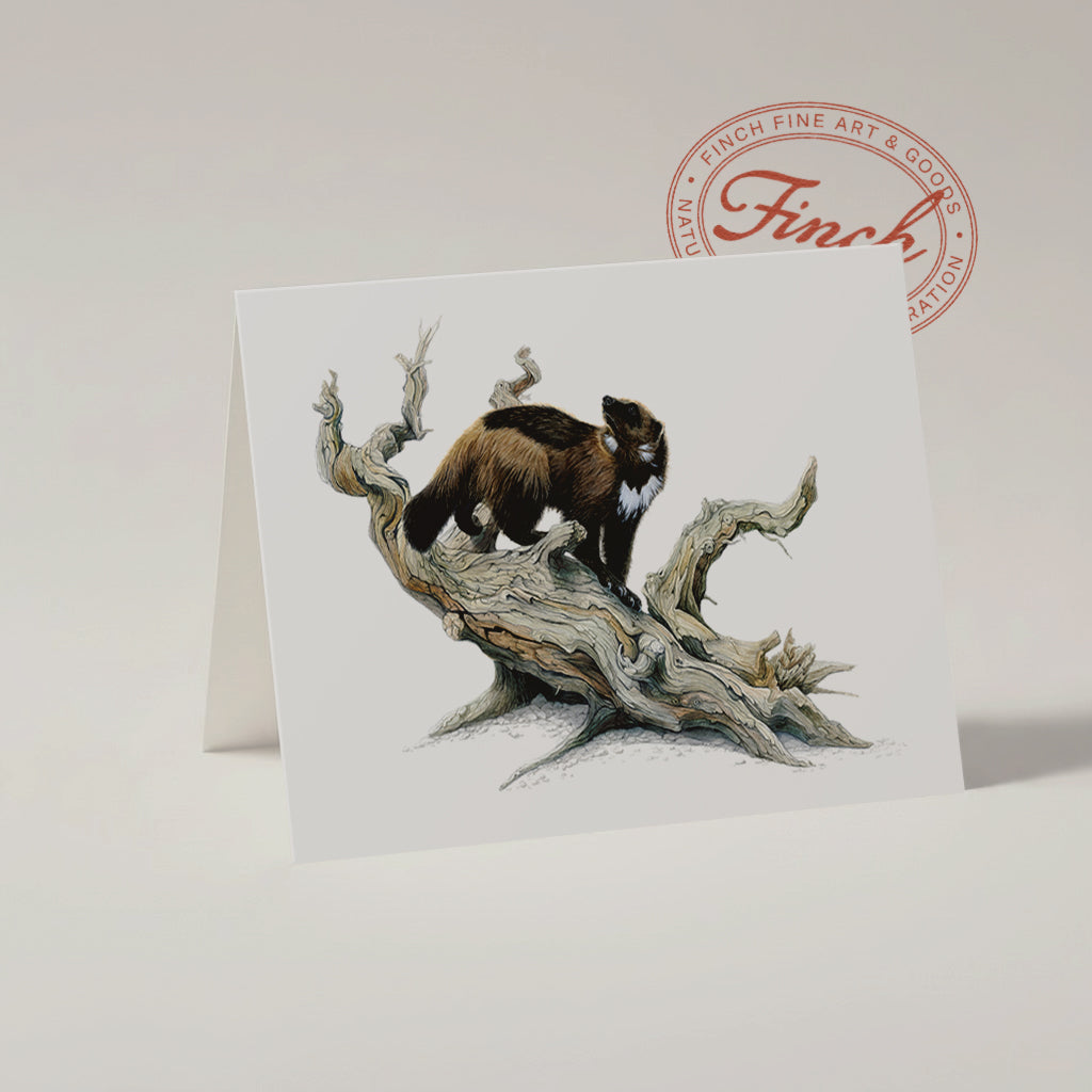 Wolverine Greeting Card