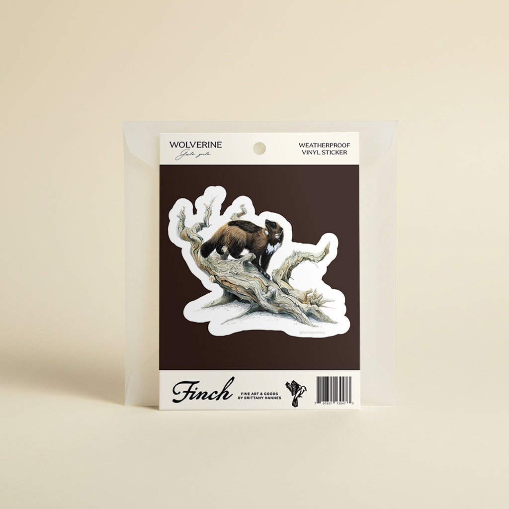 Wildlife Stickers Cards